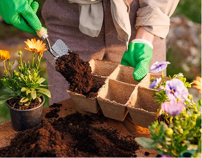 Landscaping Design & Planting